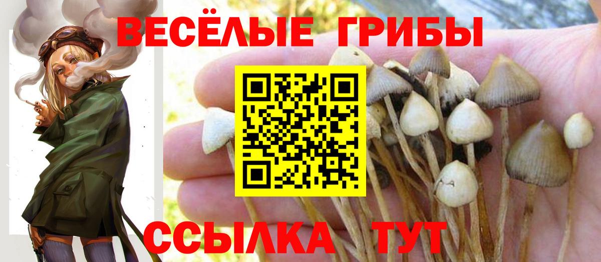 Галлюциногенные грибы Cubensis  Вход с VPN  Березники 